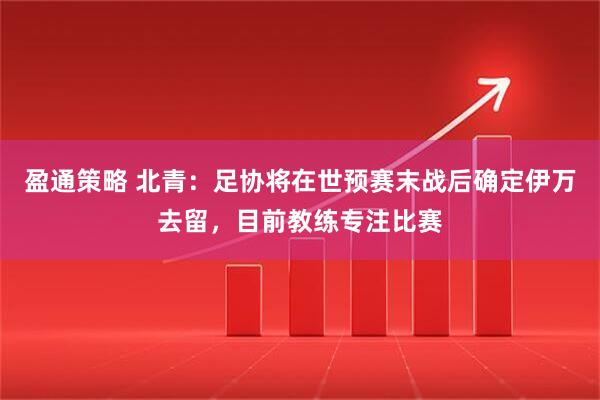盈通策略 北青：足协将在世预赛末战后确定伊万去留，目前教练专注比赛