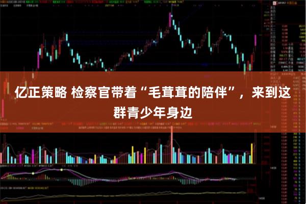 亿正策略 检察官带着“毛茸茸的陪伴”，来到这群青少年身边