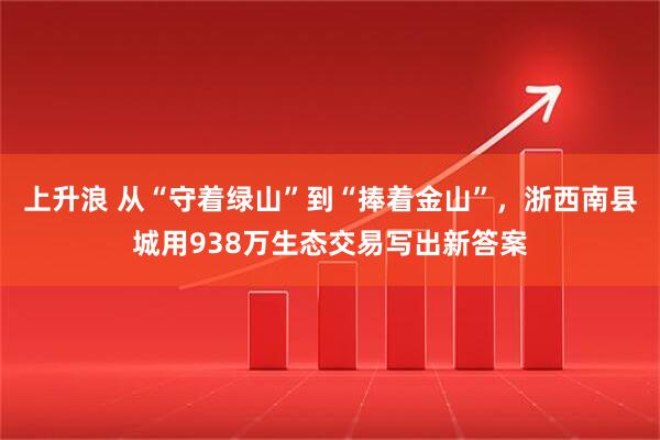 上升浪 从“守着绿山”到“捧着金山”，浙西南县城用938万生态交易写出新答案