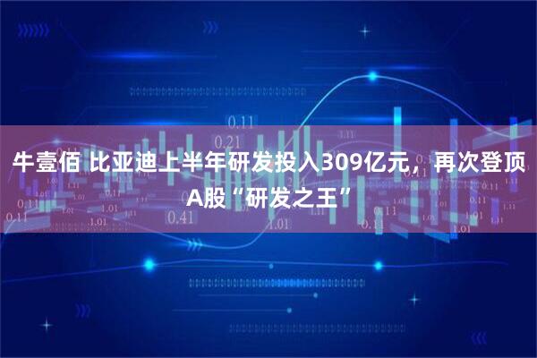 牛壹佰 比亚迪上半年研发投入309亿元，再次登顶A股“研发之王”